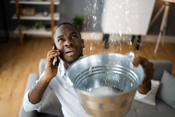 Best Professional water damage repair  in Winter Beach, FL