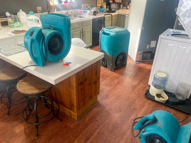 Best Fire Damage Restoration  in Winter Beach, FL