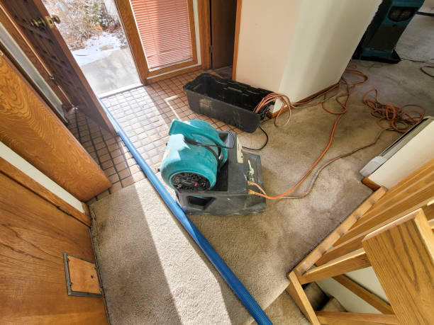 Best Water damage cleanup near me  in Winter Beach, FL