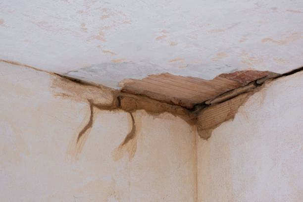 Best Ceiling water damage repair  in Winter Beach, FL