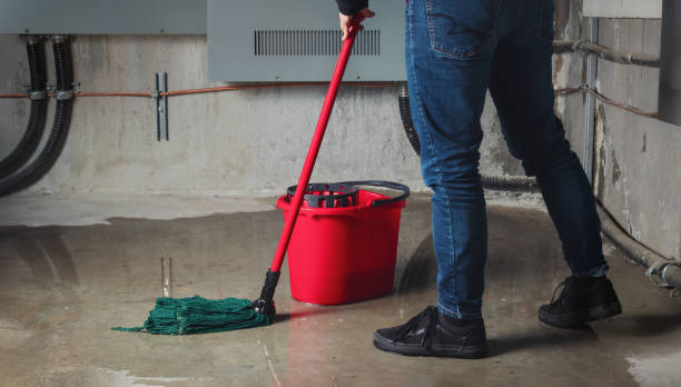 Best Sewage cleanup and water damage restoration  in Winter Beach, FL