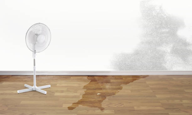 Best Ceiling water damage repair  in Winter Beach, FL
