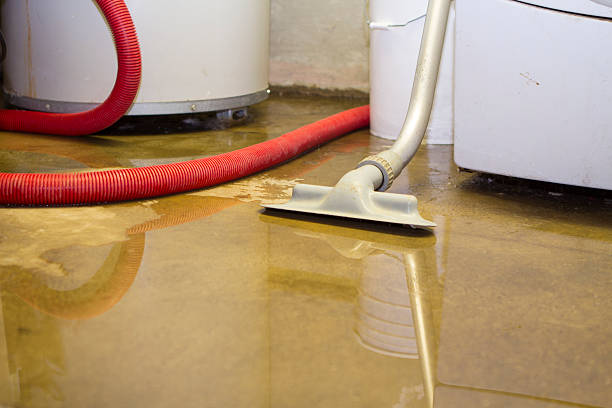 Best Residential water damage restoration  in Winter Beach, FL