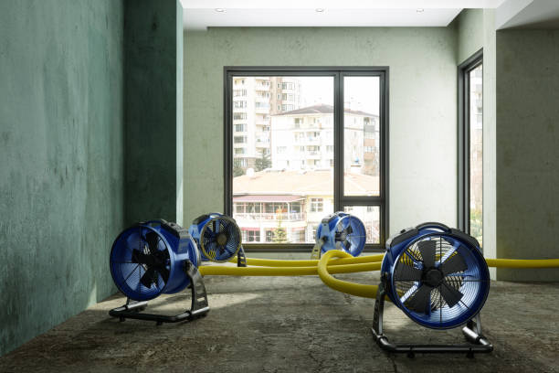 Sewage cleanup and water damage restoration in Winter Beach, FL
