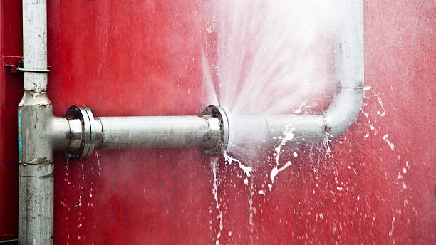 Best Mold removal after water damage  in Winter Beach, FL