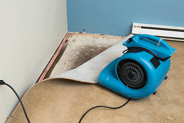 Best Emergency water damage restoration  in Winter Beach, FL